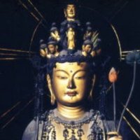 Tara (((Tathagata))) (@taraquatique) 's Twitter Profile Photo Tara (((Tathagata))) (@taraquatique) 's Twitter Profile Photo