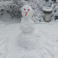 Click5690z (@clickshameuk) 's Twitter Profile