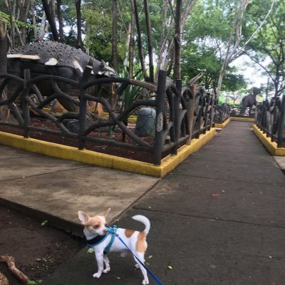 DraOxitocina's profile picture. Nica en NY