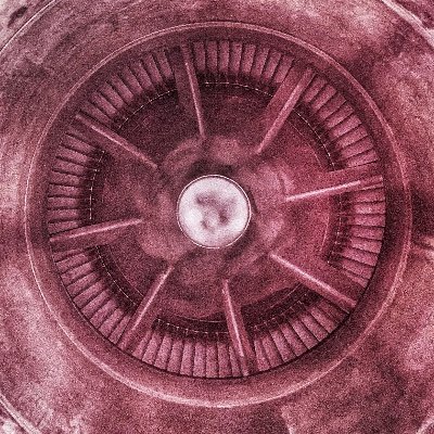 tony_t70971's profile picture. 