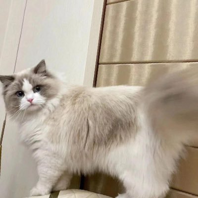 Li998287's profile picture. 大二在读，只回口令，可线下#长期固