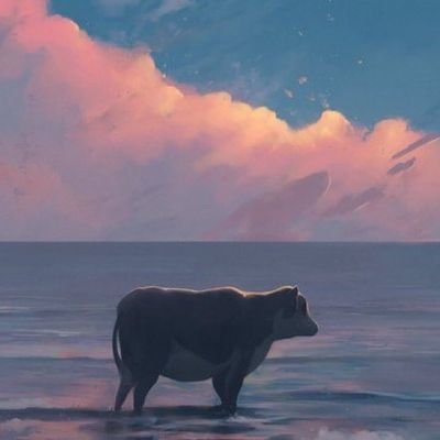 bjmngrhm's profile picture. 