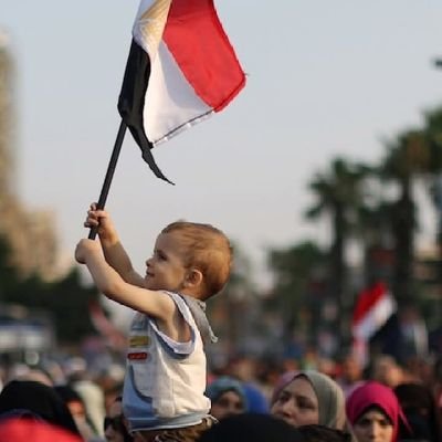 msr81003's profile picture. 