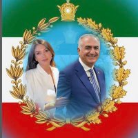Hamed Shojaei (@hamedshoja82849) 's Twitter Profile