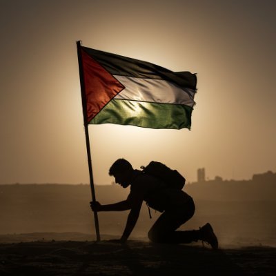 International Lawyer | Law & Policy | Rule of Law | Human Rights | Ardently opposed to unlawful occupation | English | Arabic | العربية