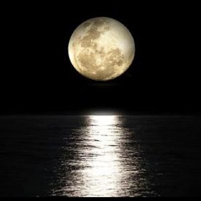 AnuragTiwa28387's profile picture. 