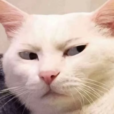 zzz1351405jshs's profile picture. 