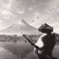 Benguinn (@benguinn_) 's Twitter Profile