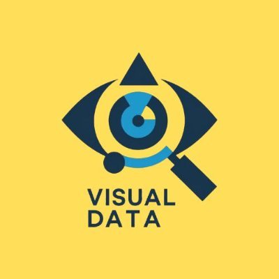 visualdata91's profile picture. Simplified and visualised data for you and your precious time.