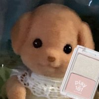 아리올 (@mandukim928) 's Twitter Profile Photo 아리올 (@mandukim928) 's Twitter Profile Photo