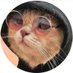 Alan (@unliberal34) Twitter profile photo Alan (@unliberal34) Twitter profile photo