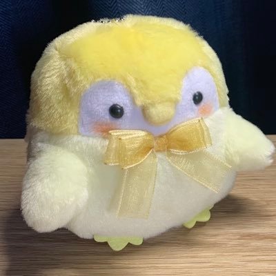 threee_up's profile picture. 読書したり着物着たりお笑い見たりしている成人。コウペンちゃんとすみっコ。見たいものをTLにかき集めていく。詳しくはプロフカードにて