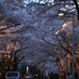 Susy (@granvillew46746) Twitter profile photo Susy (@granvillew46746) Twitter profile photo