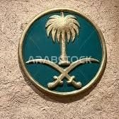 zqerty13's profile picture. 