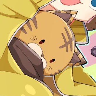 ちゃこさんのプロフィール画像