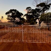 Kristin Lefroy 🐏🌾 (@cranmorefarming) 's Twitter Profile Photo