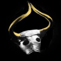 ن (@nash_siddiqui) 's Twitter Profile