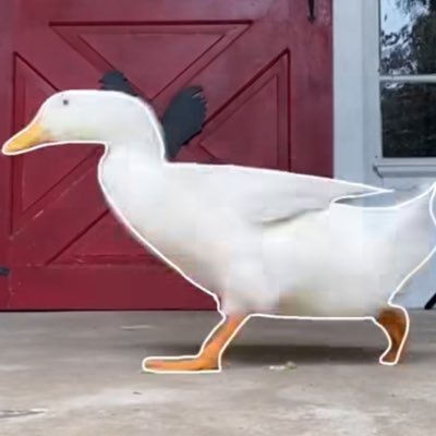 genesispaola721's profile picture. idek tbh