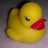 TamiLlewellyn's profile image