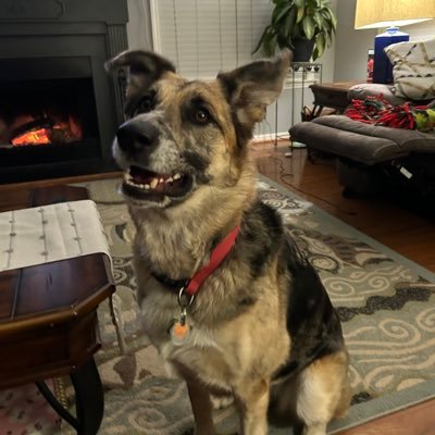 derenwinn's profile picture. married! dad! co-Host @hurricanesiren.