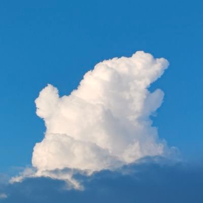 hackquantum9's profile picture. 