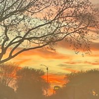 CQ (@cajunqueen44) 's Twitter Profile