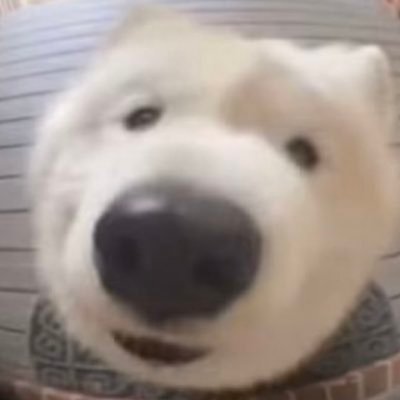 ezTrader_'s profile picture. 做简单交易 赚简单的钱