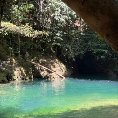 dxrnelle's profile picture. Existing