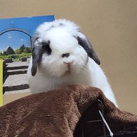 MOGU❤️ (@mogu20191221) Twitter profile photo