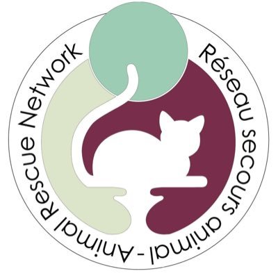 Montreal Animal Rescue Network- no kill 🐈 shelterさんのプロフィール画像