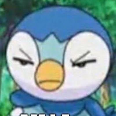 Aka PiplupandPokemon https://t.co/6ews8PJk39