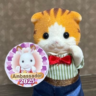 【シルバニアファミリー公式アンバサダー2025】おもしろコマ撮り動画のネコ先生です😽💕ミニチュアセットで撮影した可愛くて笑えるシーンをお届けします🎁