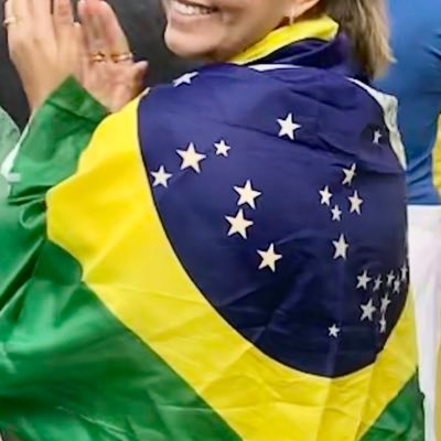 DIREITA SEMPRE! Pq n importa o quão alto vc esteja, a LEI ainda estará acima de você. 🇧🇷