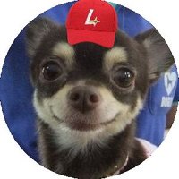 맹밤빵 (@victory_ssg) 's Twitter Profile Photo