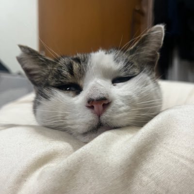 annie_12_3's profile picture. 松田亜美さん、中桐聖弥さんが好きです🫶