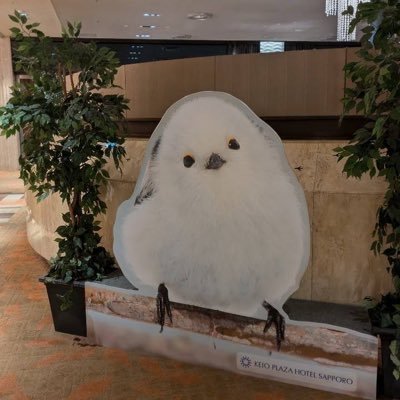 yjCHnXzvRQllXYV's profile picture. 60代。二人の息子の母です。2024年6月に直腸NECと診断され、手術でストマ造設しました。