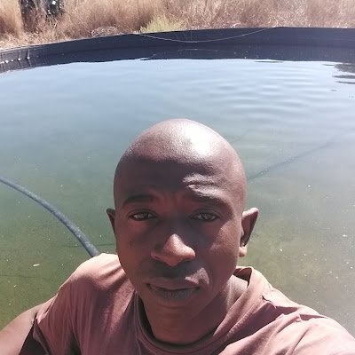 AdrianNdlo16936's profile picture. 