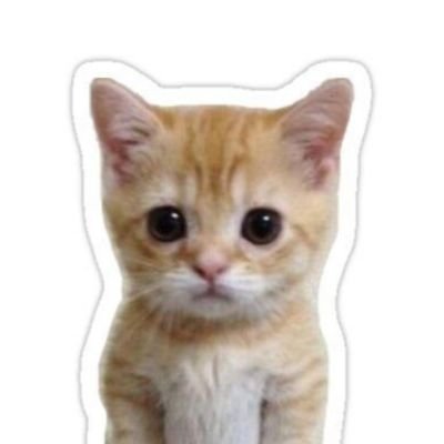 💬💬さんのプロフィール画像