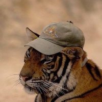 Berge🍊 (@bergiechang) 's Twitter Profile Photo Berge🍊 (@bergiechang) 's Twitter Profile Photo
