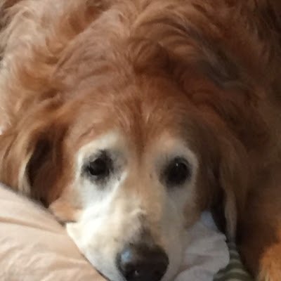 tw_nahla69133's profile picture. Live like there IS a tomorrow
