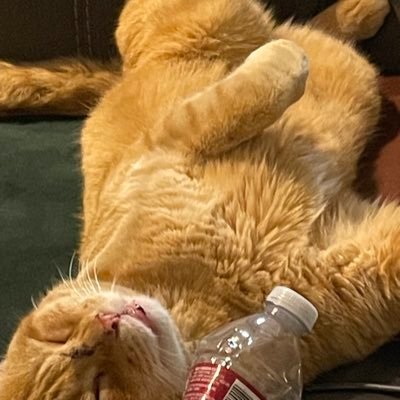 emikneew's profile picture. chronic wow, foresight lacker