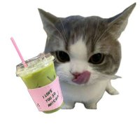 jemm (@cici0cii) 's Twitter Profile