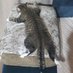 🧊🐿️🦍🌕🤍Saw Chen and died | Asian Pop and BL (@azimaforall) Twitter profile photo 🧊🐿️🦍🌕🤍Saw Chen and died | Asian Pop and BL (@azimaforall) Twitter profile photo