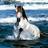 Cynthia King (@97king) Twitter profile photo