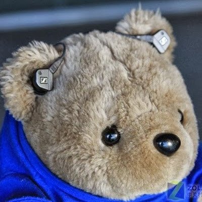 aicoder_mao's profile picture. 