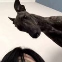 Stetson - @Stetson1394258 - Twitter