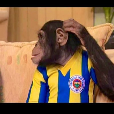 diseqbliur's profile picture. Galatasaray Ahrazı