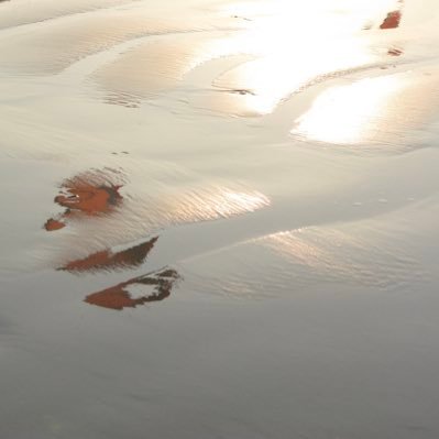 GrapeWelchs's profile picture. 