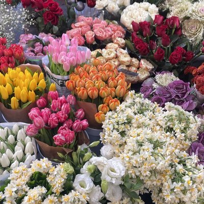 arzudilandilek1's profile picture. 