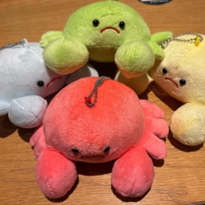 shosui_gh's profile picture. かにばりと読みます/社会人お笑い/大喜利(茶屋)/アジアゾウ最下層